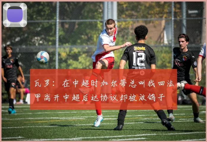 瓦罗：在中超时加尔蒂总叫我回法甲离开中超后达协议却被放鸽子